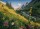 Ravensburger 15996 Im Garten Eden 1000 Teile Puzzle