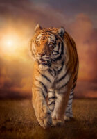 Clementoni 31806 Tiger 1500 Teile Puzzle High Quality...