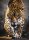 Clementoni 39326 Der Gang des Jaguar 1000 Teile Puzzle High Quality Collection