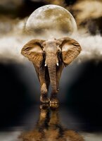 Clementoni 39416 Der Elefant 1000 Teile Puzzle High...