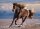 Clementoni 39420 Wildpferd 1000 Teile Puzzle High Quality Collection