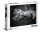 Clementoni 39422 Kätzchen 1000 Teile Puzzle High Quality Collection