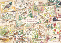 Jumbo 11336 Falcon - The Country Diary Postcards 1000...