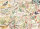 Jumbo 11336 Falcon - The Country Diary Postcards 1000 Teile Puzzle