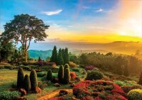 Educa 17968 Bildschöner Garten 1000 Teile Puzzle