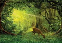 Educa 17958 Little Deer 500 Teile Puzzle