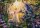 Educa 17696 Magische Lichtung 1500 Teile Puzzle