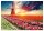 Educa 18465 Tulpen Landschaft 1500 Teile Puzzle