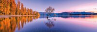 Clementoni 39608 Lake Wanaka Tree 1000 Teile Puzzle...