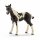 Schleich 13803 Horse Club Pinto Fohlen