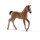 Schleich 13818 Horse Club Hannoveraner Fohlen