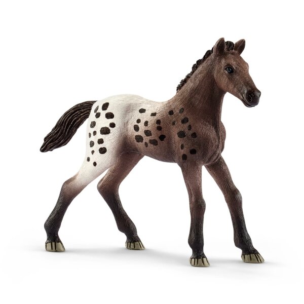 Schleich 13862 Horse Club Appaloosa Fohlen
