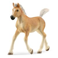 Schleich 13951 Haflinger Fohlen